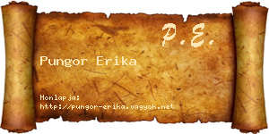 Pungor Erika névjegykártya